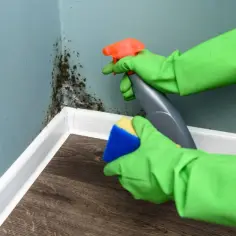Rękawiczki i gąbka usuwają grzyba ze ścian domowe sposoby.