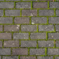 Jak usunąć zielony nalot z kostki brukowej - skuteczne metody i porady