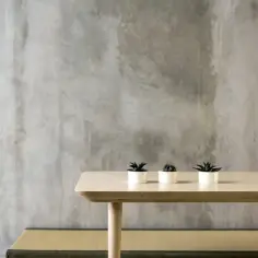 Beton architektoniczny jako alternatywa dla tynku wewnętrznego. Minimalistyczny stolik z sukulentami na tle surowej ściany.