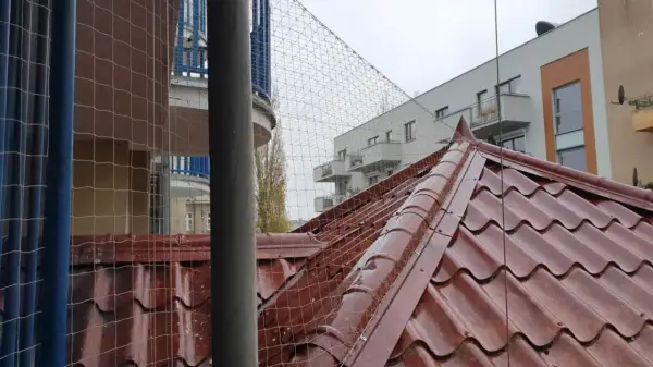Jak humanitarnie pozbyć się ptaków z elewacji? Skuteczne metody